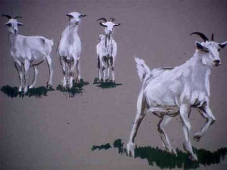 Brennans goats