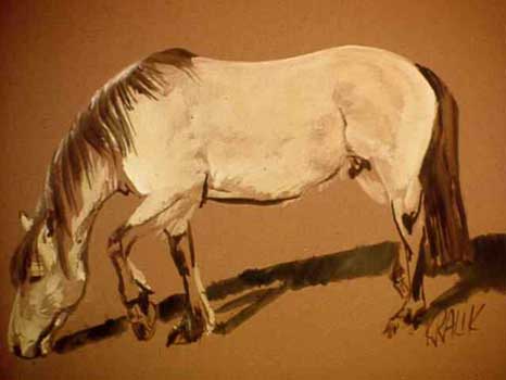 Buckskin 1