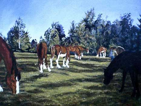 Caravan clydesdales