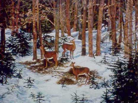 Deeryard