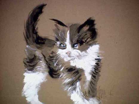 Kitten