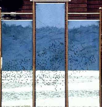 Screen waterfowl at dawn