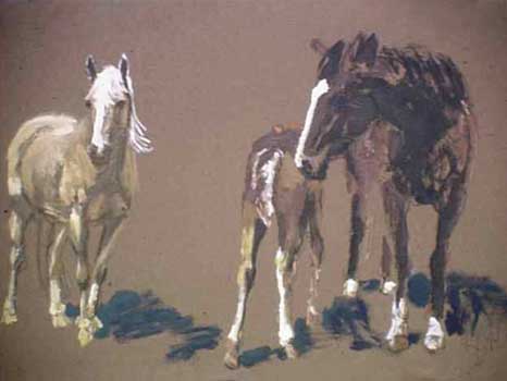 Sheba Nahanni and Gypsy