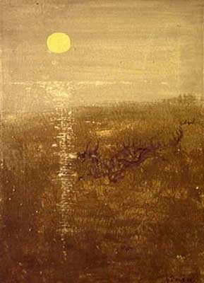 Dragon in the marsh