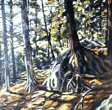 Mt Washington tree hugs rock