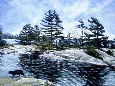 The cats of Georgian Bay