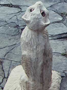 Basswood Cat Scratcing Post