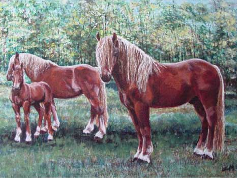 High Meadows Jr, Fair Winds Rosa & Garrettland's Rohan's Rawhide 
