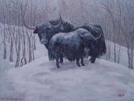 Snowcapped daddy yak and daughter