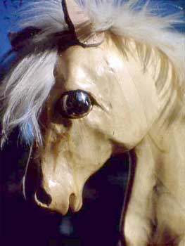 Foal face